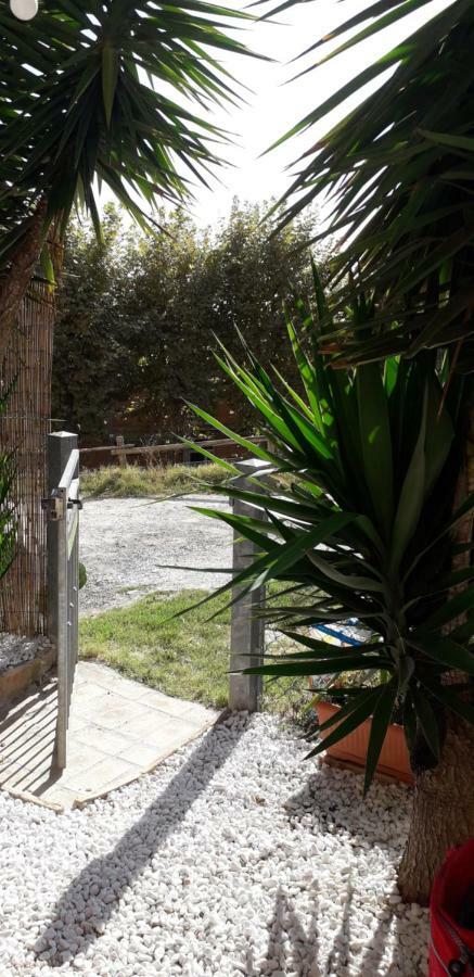 Happy Flat Villa Riparbella Exterior foto